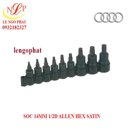 SOC 14MM 1/2D ALLEN HEX SATIN