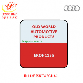 H11 12V 55W T4 PGJ19-2