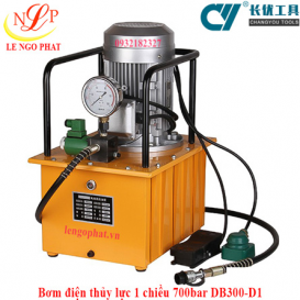 Bơm điện thủy lực 1 chiều DB300-D1