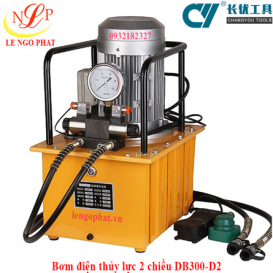 Bơm điện thủy lực 2 chiều DB300-D2