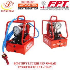 BƠM THỦY LỰC KHÍ NÉN 3000BAR PP3000C10/CDP F.P.T - ITALY