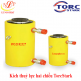 Kích thuỷ lực hai chiều TorcStark (DQ100 -300)